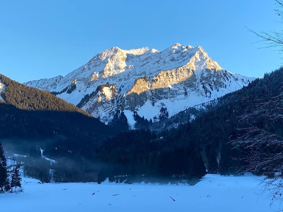 Le Bel Appartement De Montagne Bellevaux Exteriér fotografie