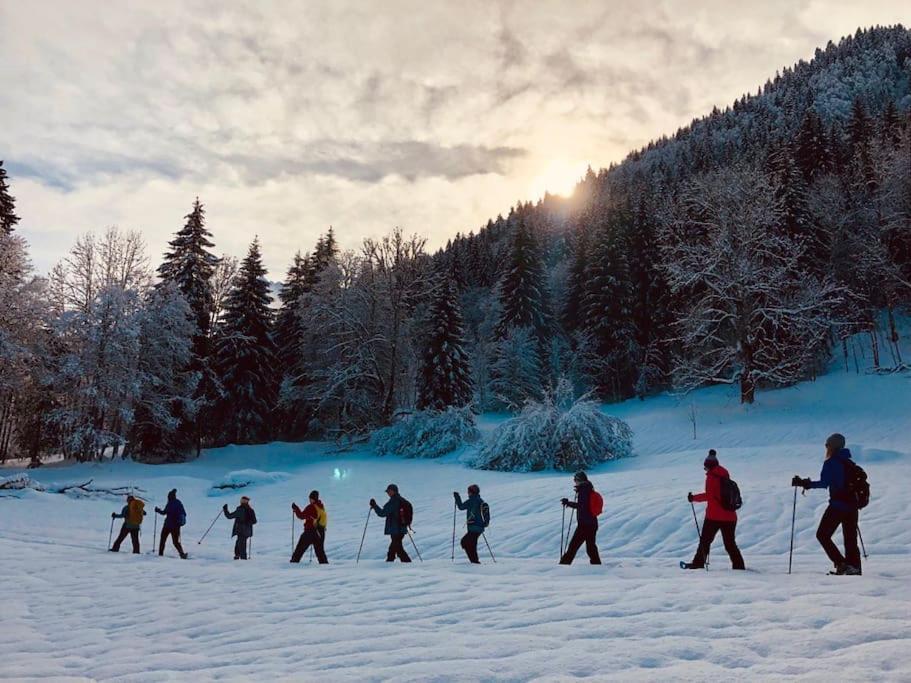 Le Bel Appartement De Montagne Bellevaux Exteriér fotografie