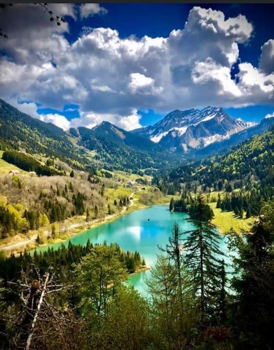 Le Bel Appartement De Montagne Bellevaux Exteriér fotografie