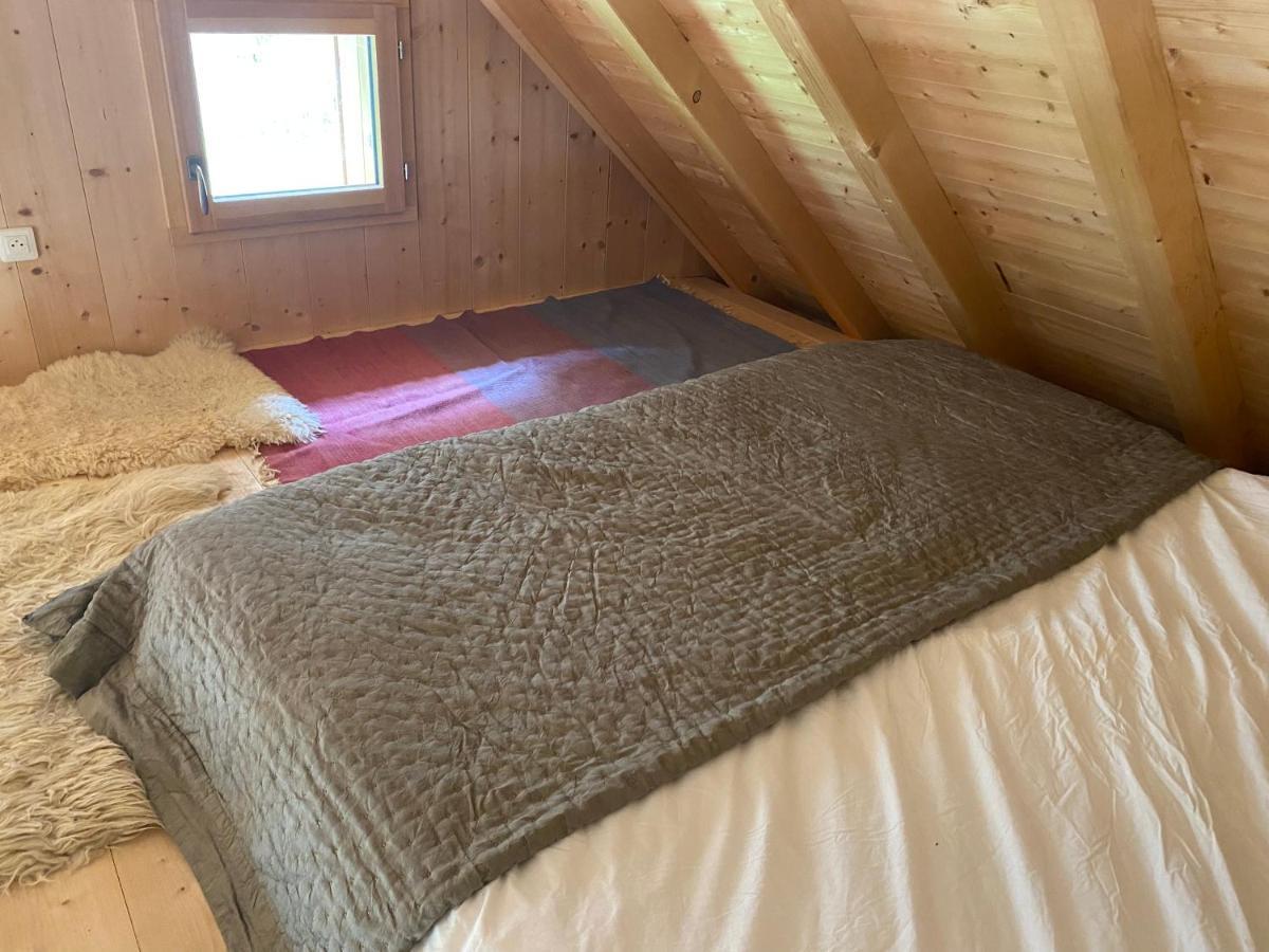 Le Bel Appartement De Montagne Bellevaux Exteriér fotografie